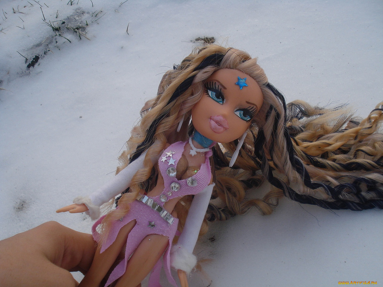 , bratz, 